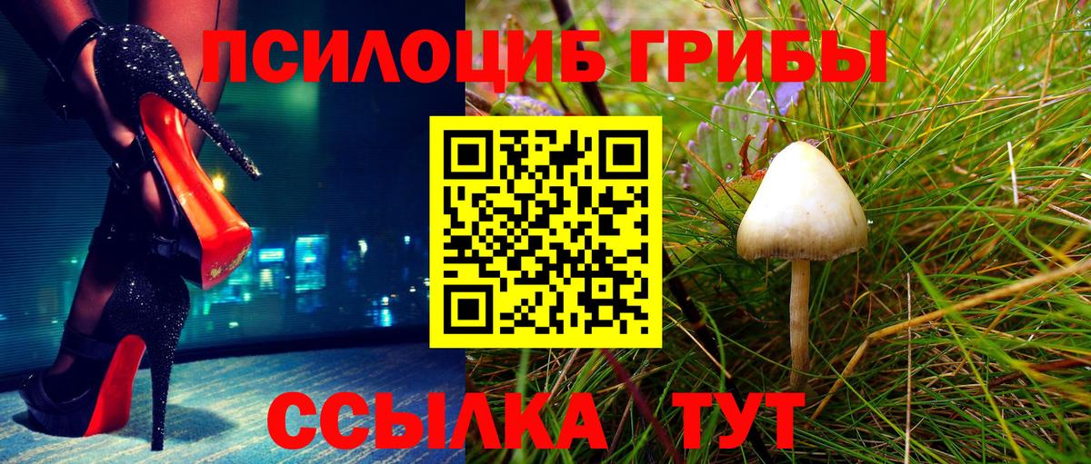 купить наркотик  Вход с VPN  Нижнеудинск  Псилоцибиновые грибы мицелий 